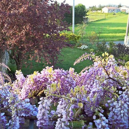 Les Glycines Bed & Breakfast Eymet Exterior foto